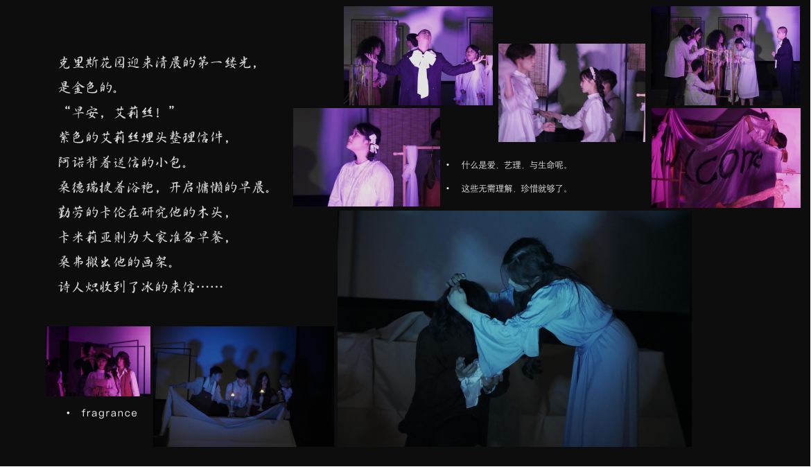 戏剧《群芳》项目文案之二